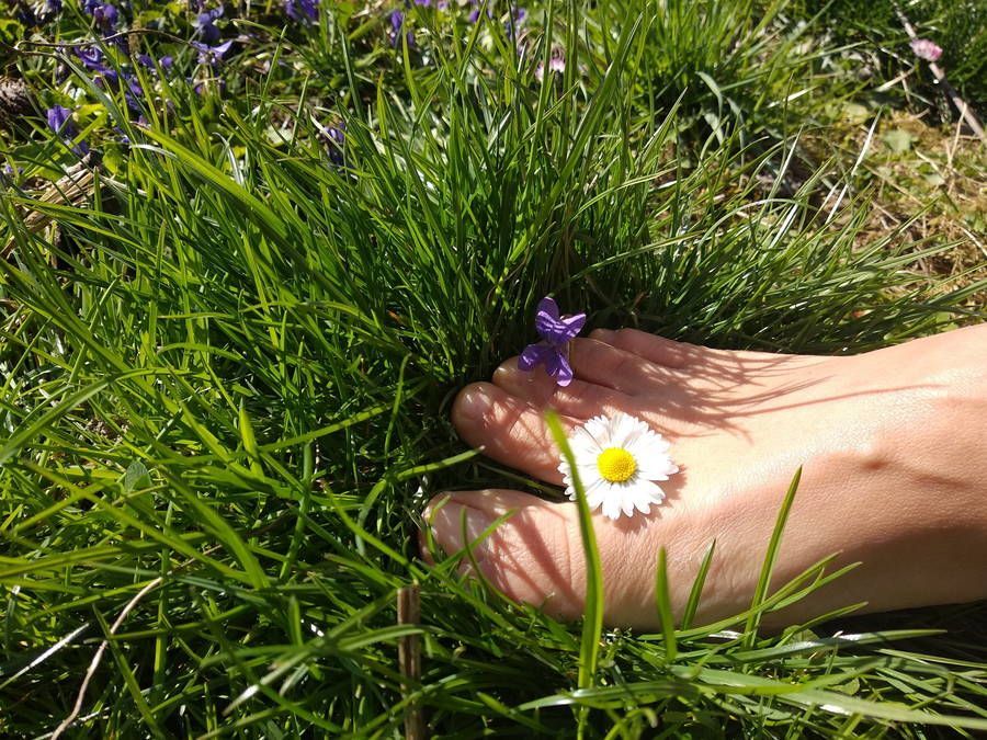 Article // Mets tes pieds dans l'herbe!